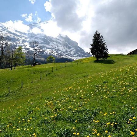גרינדלוולד Aspen Alpine Lifestyle Hotel מראה חיצוני תמונה